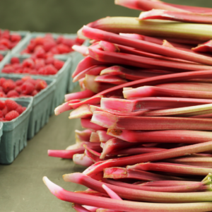 Raspberry Rhubarb Sorbet