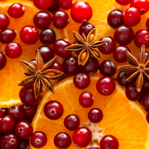 Cranberry Orange Sorbet