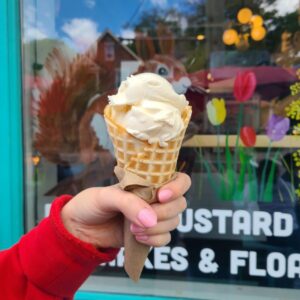 Vanilla Frozen Custard