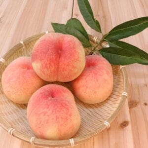 Peach Sorbet