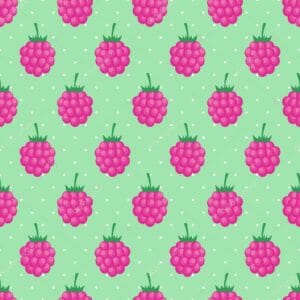 Raspberry Mint Sorbet