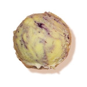 Sweet Corn & Blueberry