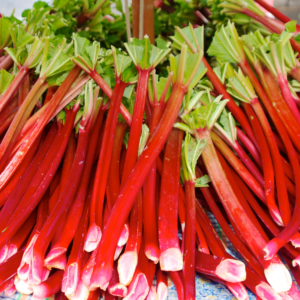 Lemon Rhubarb