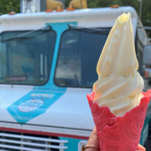 Vegan Vanilla Soft Serve