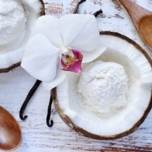 Vegan Vanilla