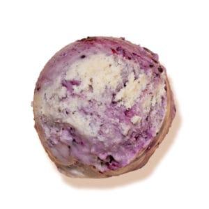 Sunbutter & Black Currant