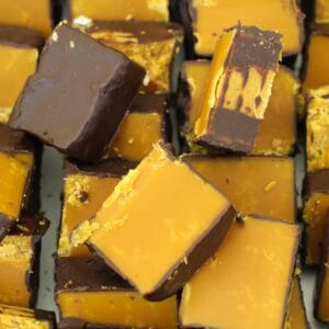 Chocolate-Covered Honeycomb Frozen Custard