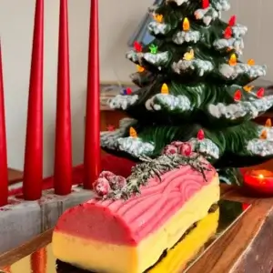 Yule Log: Cranberry Orange Sorbet