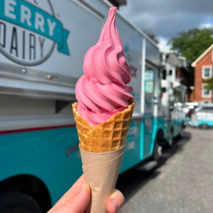 Fruit Punch Soft Serve